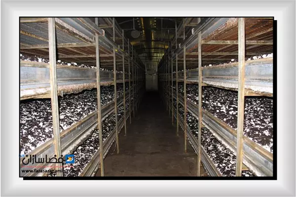 انواع قفسه بندی سالن پرورش قارچ